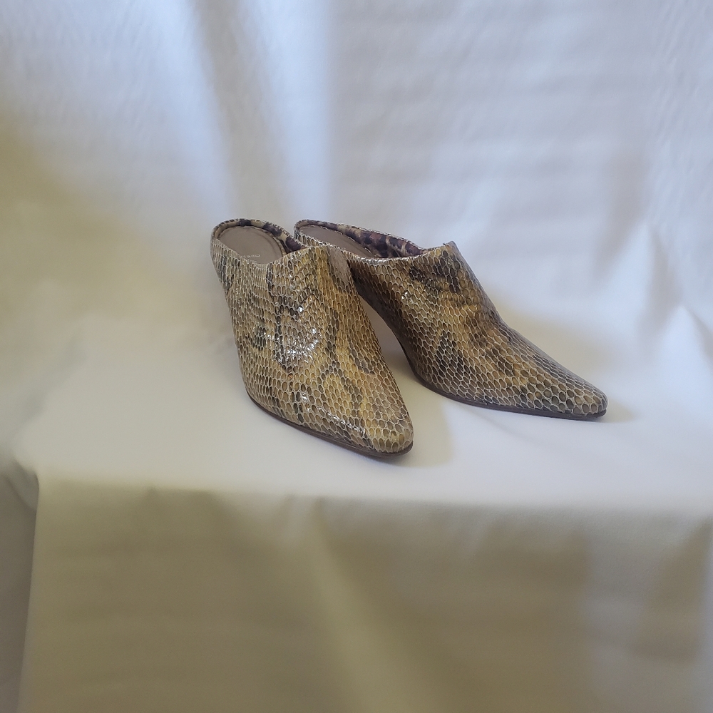 Aquatalia snakeskin shoes